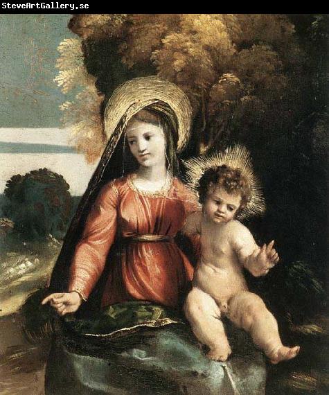 Dosso Dossi Madonna and Child